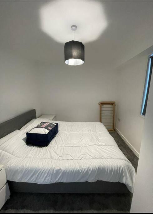 Basingstoke 1X Double Bed And Sofa Bed Apartment Sherborne St John Exterior photo
